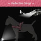 Didog No Pull Dog Harness with Soft Mesh Padded,Reflective & Quick Fit Light Weight Dog Strap Vest Harness,Easy for Walking Training (M:Chest 21-26", Mesh-Hot Pink)