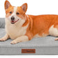 Orthopedic Dog Beds Large Sized Dog, 3 Inch Memory Foam Pet Bed for Medium and Large Dogs, Washable Removable Cover, Nonskid Bottom, Waterproof, 41x27 Inches XL Light Grey