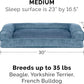 Furhaven Pillow Dog Bed for Medium/Small Dogs w/ Removable Bolsters & Washable Cover - Faux Fur & Velvet Sofa - Harbor Blue, Medium