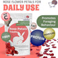 Snout and Shell Rose Petals Treats – Natural Snack for Rabbits, Guinea Pigs & Chinchillas – Vitamin C & Digestive Support, 1 oz