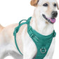 No Pull Dog Harness, Reflective Puppy Vest for Small Medium Large Sized Dog(MARRS Green,S)