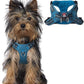 BARKBAY Dog Harness, Reflective Adjustable Step-in Vest Harness, Blue/Black, XXS