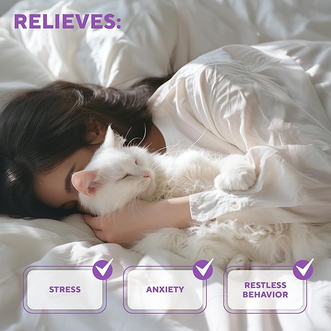 Beloved Pets Cat Calming Diffuser & Pet Anti Anxiety Products - Feline Calm Pheromones Plug in & Cats Stress Relief Comfort Helps with Pee, New Zone, Aggression (2 Pack (2 Diffusers + 2 Refills))