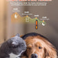 Super Powerful Dog Nail Trimmers and Dog Nail Clippers Combo, Ultra Quiet, 3 Speeds, 4 Bright Lights, with Travel Lock, for Small, Meddium and Large Dogs, Cats and Small Animals