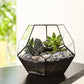 5 lbs Small Rocks for Plants, 1/5 Inch Pebbles for Indoor Plants, Natural Decorative Pea Gravel for Aquarium, Fish Tank, Terrarium, Succulents, Bamboo Plants, Vases, Cactus, Crafts