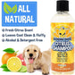 Bodhi Dog Refreshing Orange Citrus Shampoo - Deep Cleaning Coconut & Aloe Formula - Natural Soothing, Moisturizing Pet Wash for Dogs, Cats, Puppies - Tear-Free (17 Fl Oz)