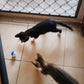 10-Pack Cat Toy Balls for Kittens and Adult Cats, Furry Fun (1.5'' - 2.1'', Cat Toys Value Pack)