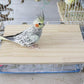 13.6×7.9 Inches Large Bird Perch Stand Platform, Natural Wooden Small Animals Cage Accessories, Rectangle Stand Perch Shelf for Parrot Parakeet Cockatiel Rat Hamster Guinea Pig Conure Chinchillas