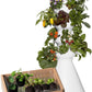 Farmstand Starter Kit + 30 Seedling Credits | Family Hydroponic Growing System Kit | Self-Watering Outdoor Vertical Garden Planter Tower | 5ft 5in | Made in USA
