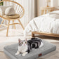 OhGeni Orthopedic Waterproof & Machine Washable Dog Bed for Small Pets, Suitable for Crates, Cat Mat with 25D Egg Crate Foam, Non-Slip Bottom & Removable Cover, Invisible Zipper, 24 Inches(Gray)