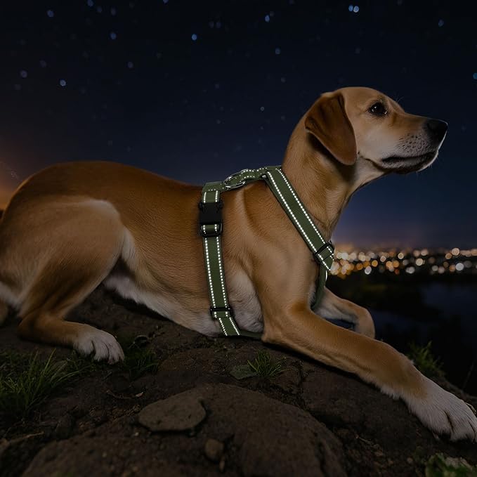 Dog Seat Belt Harness for Car, Dog Car Harness Adjustable Mesh Breathable & Dogs Seatbelt Safety Tether with Elastic Bungee for Small Medium Large Pets(Army Green, XL)