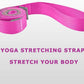 SANKUU Yoga Straps Stretching Strap with 12 Loops Workout Poster, Straps for Stretching Physical Therapy Equipment Long Stretch Out Bands for Exercise, Pilates and Gymnastics for Women Men