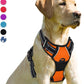 BARKBAY No Pull Dog Harness Front Clip Heavy Duty Reflective Easy Control Handle for Large Dog Walking(Orange,M)