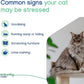 Virbac Zenifel Cat Spray for Managing Stress-Related Behaviors in Kittens & Cats - Quick-Acting - Ideal for Unexpected Stressful Situations - 1 Bottle