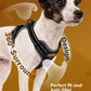 MIDOG No-Pull Dog Harness | Adjustable & Reflective Pet Harness Leash Set for Small Medium Large Dogs Walking, Training| No Choke, Front Clip, Soft Padded Vest with Easy Control Handle - Black, L