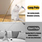 Interactive Cat Wand Toys Set, 2PCS Cat Teaser with 6 Replacement Birds, Feathers & Bells for Indoor Play