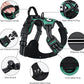 Taglory Light Up Dog Harness, Rechargeable No Pull Dog Vest with 3 Lightning Modes, Reflective Dog Harness with 2 Leash Clips & 4 Adjustable Slide Strips for Large Dogs, Turquoise-Green, L