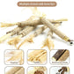 Tocirelo Catnip Toys Silvervine Sticks - 12Pack Natural Cat Chew Toys for Bored Indoor Cats Teeth Cleaning, Matatabi Sticks Treats with Feather and Bell, Kitten Teething Calming Products