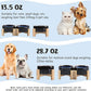 SPUNKYJUNKY 15° Slanted Ceramic Dog and Cat Bowl with Wooden Stand, Tilted Bulldog Food and Water Bowl No Slip Non-Spill for Cats Medium Dogs Big Face Pets 13.5 OZ (1.7 Cups, Starry Blue × 2)