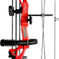 Compound Bow Archery for Youth and Beginner, Right Handed,19”-28” Draw Length,15-29 Lbs Draw Weight, 260 fps