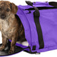SturdiBag Pro 2.0 Pet Travel Carrier with Flexible Height for Cats and Dogs | Soft Sided Pet Carrier Bag with Safety Clips and Seatbelt Straps for Airplane or Car Travel | Medium, Purple