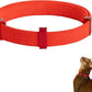 Safety Cat Collar Pro - U.S. IDA Gold Awarding Design, Elastic Quick Release Cat Collar with Buckle Non Breakaway - Lightweight for Kitten All Small Large Cats (Vivid Red, S 5.9-11.8")