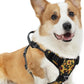 PUPTECK No Pull Dog Harness Medium Sized, Adjustable Reflective Dog Harness with Handle Easy Control, Comfortable Soft Padded Pet Vest Harness for Medium Dogs, Sunflower M