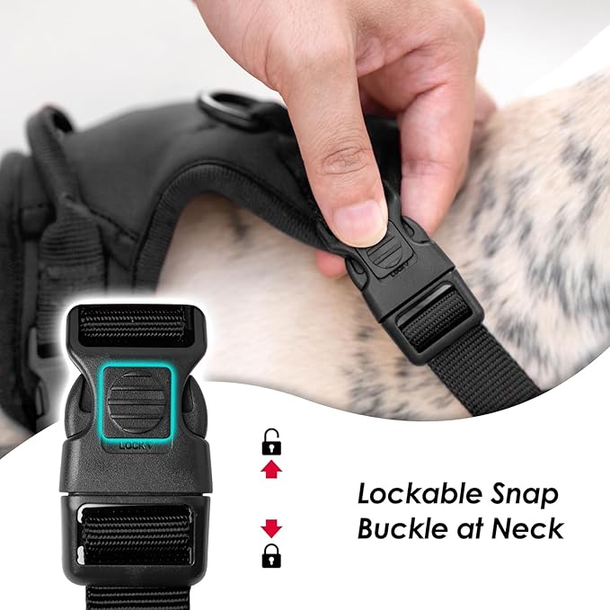 No Pull Dog Harness, Puppy Vest with Front Clip for Small Medium Large Sized Dog(Black,M)