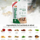 310 Nutrition All-In-One Meal Replacement Shake Powder - Plant-Based Protein Smoothie Blend w/High Fiber, Probiotics & Adaptogens - Low Carb, Vegan, Keto & Paleo Friendly - Gingerbread - 28 Srv