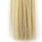 Horse Tail Extensions with Braided Horsehair Loop, Blunt Cut Bottom, 34-36 inches Long and 1 lb Weight (Palomino)