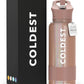 Coldest Insulated Water Bottle with Straw Lid - Stainless Steel Metal Insulated Bottle for Men & Women (Golden Rose Glitter, 32 oz)