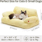 MEWOOFUN Cat Beds for Indoor Cats, Washable Small Dog Beds for Medium Small Dogs & Cats up to 25 Lbs, Fluffy Cat Couch with Non-Slip Bottom (Yellow, 26.0" L x 19.0" W x 13.0" Th)