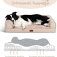 Hollypet Orthopedic Dog Bed for Large Dogs, Supportive Foam Pet Couch with Removable Washable Cover and Non-Slip Bottom, Waterproof Lining Sofa Bed, Khaki, L (36 * 26 * 8)