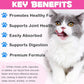 Collagen for Cats, Daily Liquid Collagen Drops for Cats with Allergies, Biotin, Vitamin C and Hyaluronic Acid, Improves Mobility Skin and Coat Health, Itch Relief for Cat, Salmon Flavor, 60ML