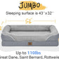 Washable Orthopedic Large Dog Bed - Removable Waterproof Cover with Bolster Extra Large Dog Bed Foam Support XL Large Big Pet Dogs Beds