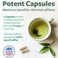 EGCG Green Tea Extract Capsules - Super High Potency Green Tea Pills Antioxidant Rich Formula Packed with Polyphenols Catechins & EGCG - 500mg Per Capsule - Non-GMO & Made in the USA (2 Month Supply)