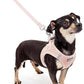 rabbitgoo Dog Harness Small Sized and Leash Set, Step in Soft Light Puppy Vest, Breathable Mesh Pet Harness, Reflective for Outdoor Safe Walking, Pink XXXS