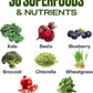 VitaHustle ONE Superfood Super Greens Powder with Prebiotics + Probiotics, Reduce Bloating, Detox, Gut Health, Spirulina, Chlorella, Digestive Enzymes (Berry Flavor, 25 Servings)