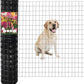 Black PVC Coated Welded Wire Fence 48 Inch x 50 Foot, 2 Inch x 3 Inch 16GA, Garden Border Fencing Roll Vinyl Coating Metal Wire Mesh for Yard Vegetable Plant Protection Poultry Netting