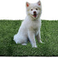 Dog Grass Mat, Synthetic Turf for Indoor/Outdoor Puppy Potty Training Durable, Drainable & Easy-Clean Pet Bathroom Mat for Small to Large Dogs Grass Only (34.6"x22.5")