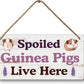 Big Hamster Ball & Guinea Pig Hideout - Stuffed Animals & Accessories for Guinea Pig Cage - 12x6 In Wooden Sign