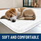 Smiry Dog Door Mat for Muddy Paws 36x24, Absorbs Moisture and Dirt Doormat, Non-Slip Washable Quick Dry Chenille Front Door Mat Indoor Entrance, Entryway Carpet for Inside Floor, White