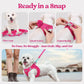 rabbitgoo Dog Harness Small Sized and Leash Set, Step in Soft Light Puppy Vest, Breathable Mesh Pet Harness, Reflective for Safe Easy Walking, Rose Red XXS