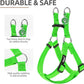 PUPTECK No Pull Dog Harness Soft Adjustable Basic Nylon Step in Puppy Vest Outdoor Walking with ID Tag, Green, L
