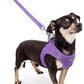 rabbitgoo Dog Harness Small Sized and Leash Set, Step in Soft Light Puppy Vest, Breathable Mesh Pet Harness, Reflective for Outdoor Safe Walking, Purple XXXS