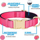 Didog Soft Padded Dog Collars for Small Dogs, Colorful and Durable Dog Collar with Quick Release Buckle, Light and Breathable for Daily Walking, Pink, S