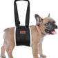 Adjustable Dog Lift Harness, Dog Sling for Large Dogs Lift Support and Rehab Harness for Weak Rear Legs, Soft Hind Leg Support Helps Senior, Injured, Disabled and After ACL Surgery Dogs(Black,Small)