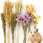 Sukh Nature Flower Herb Hamster Bedding Cage Enclosure Habitat Decor Mate Small Animal Natural Ear of Grain Sprays for Syrian Dwarf Hamsters Gerbils Rabbit Other Pets