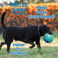 Wobble Wag Giggle Treat Ball- Interactive Dog Toy & Treat Dispenser, Fun Giggle Sounds When Rolled or Shaken, Great for Dogs Pets Know Best