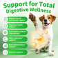 Premium Dog Digestive Enzymes and Probiotics with Pumpkin for Gut Health Support - Daily Chews for Digestion & Gas Relief - Chicken Flavor-90 Count